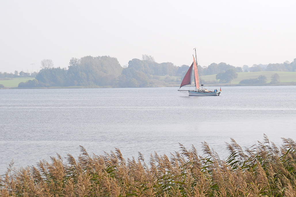 Schiff auf der Schlei